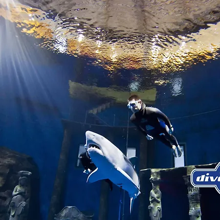 Hotell Friendly Cityhotel Oktopus 3*