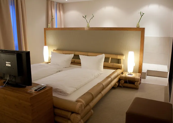 Friendly Cityhotel Oktopus 3* Ζίγκμπουργκ