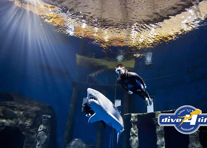 酒店 奥克图普斯友好城市酒店 3*